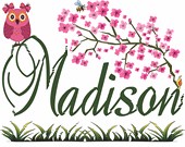 Blossom Branch Owl Bee Snail